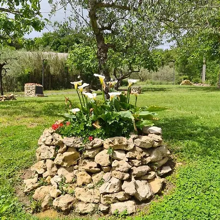 Farm stay La Casa Dei Ricordi *