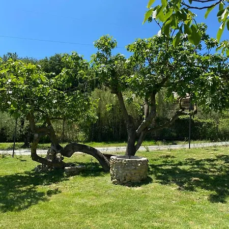 La Casa Dei Ricordi Collesalvetti