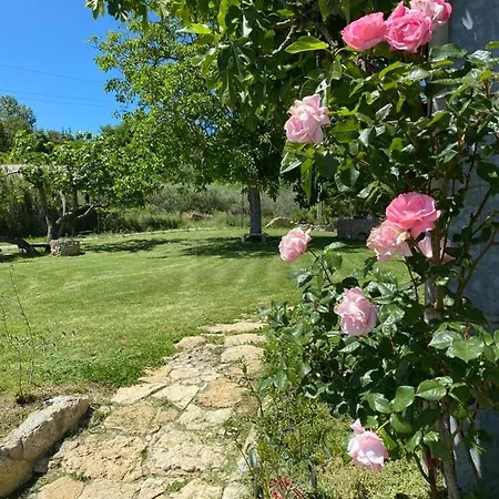 La Casa Dei Ricordi Farm stay Collesalvetti